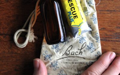 Success Story. Bach Rescue Remedy alleviates emotional stress & bruising